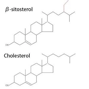 β-sitosterol and cholesterolerols