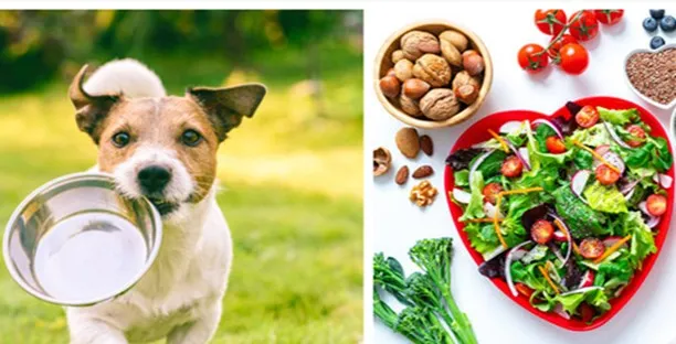 istockphoto-1173954887-612x612